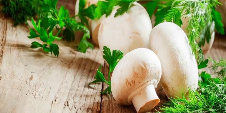 قارچ بخورید؛ سرطان نگیرید