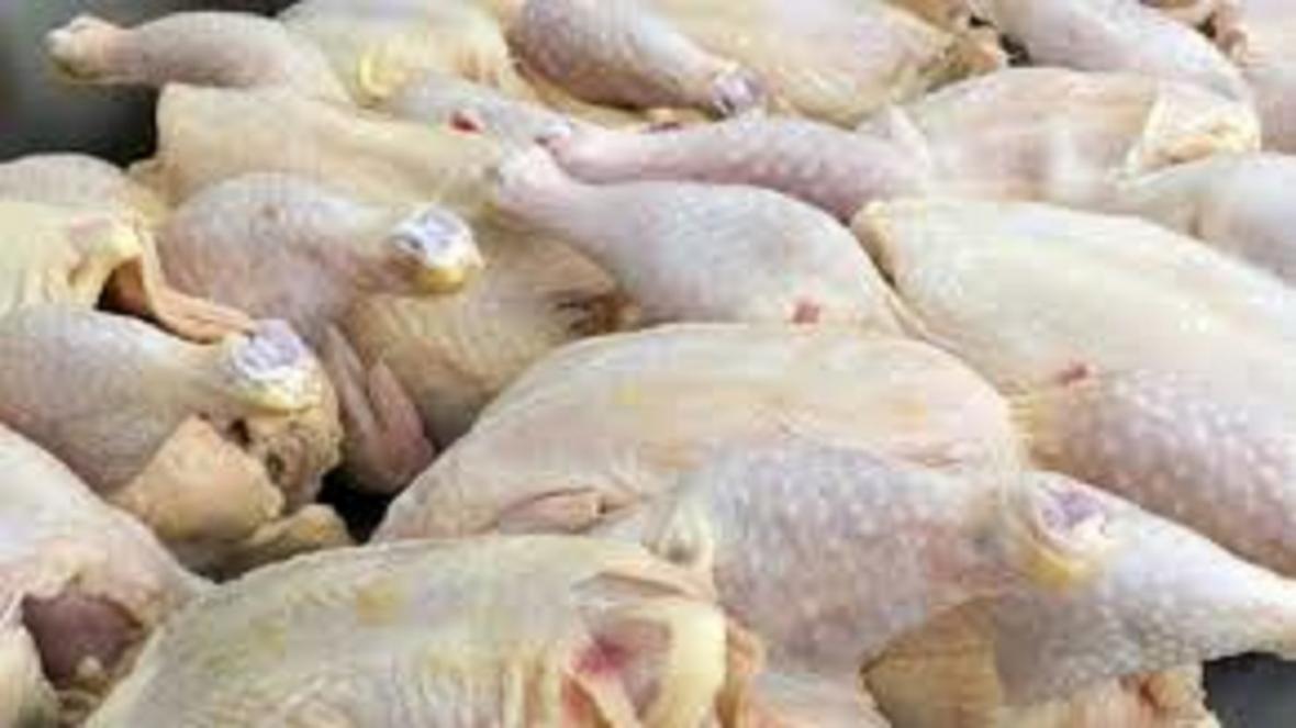 عرضه مرغ بالاتر از قیمت مصوب گرانفروشی است عرضه مرغ بالاتر از قیمت مصوب گرانفروشی است