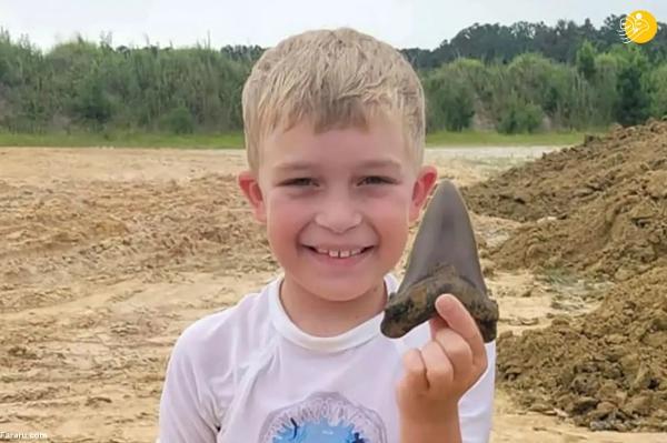پسر 8 ساله فسیل دندان کوسه ماقبل تاریخ پیدا کرد