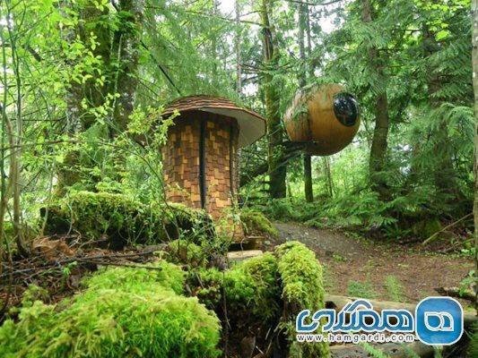 معرفی زیباترین هتل های درختی در جنگل !!